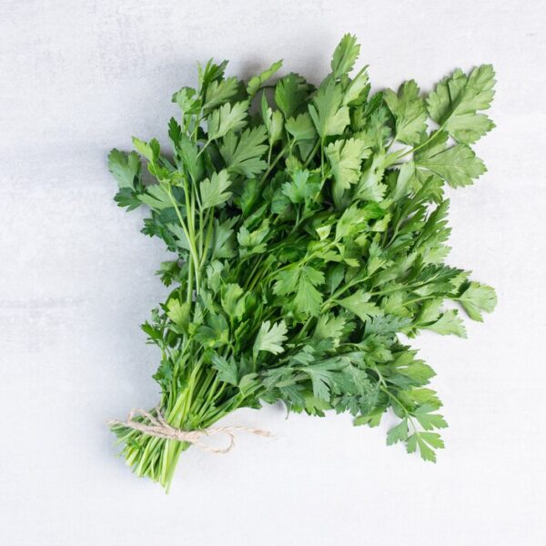 bunch fresh coriander leaves stone surface high quality photo 114579 27252