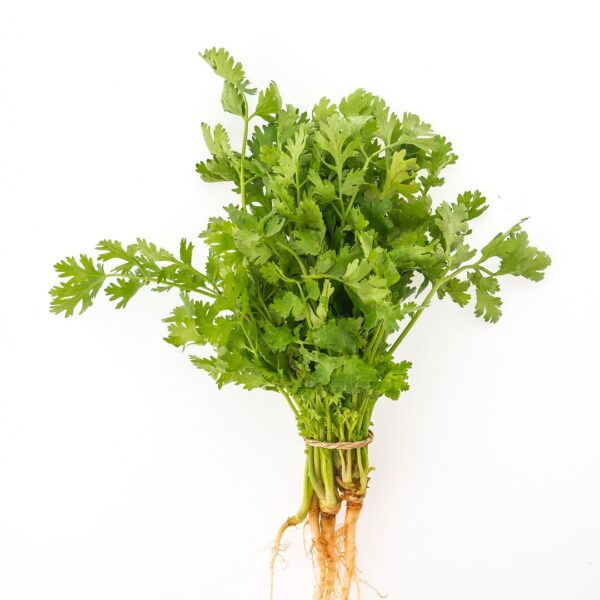 bunch parsley 1203 1809