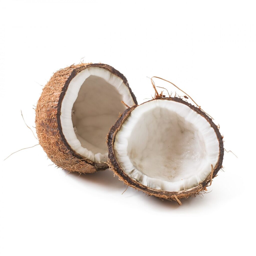 coconut isolated white background 2829 6286