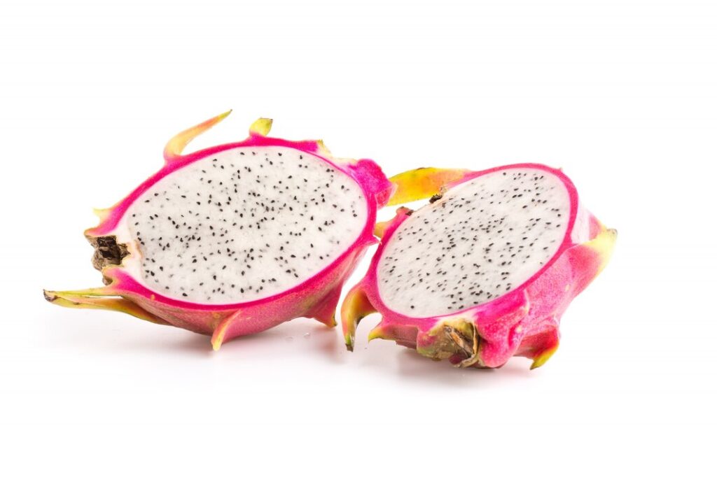 dragon fruit white background 1127 226