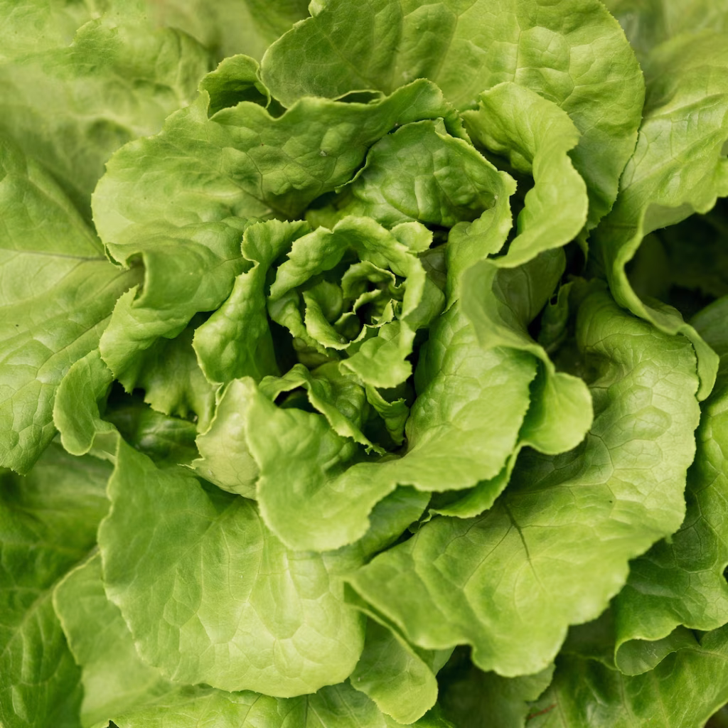 flat lay natural salad 23 2148573914