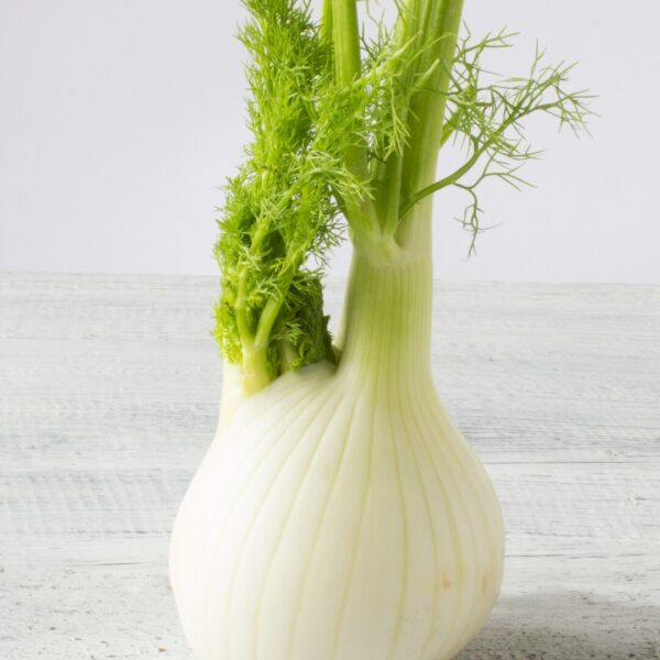 fresh organic fennel wooden white table 1212 931
