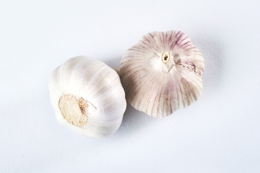 garlic isolated white delicious seasoning 146671 19244