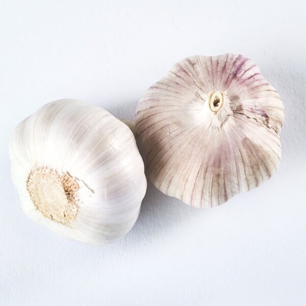 garlic isolated white delicious seasoning 146671 19244
