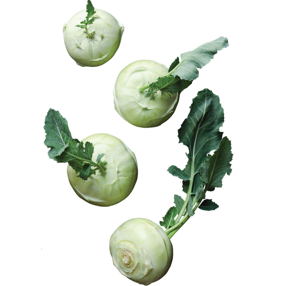 koraba