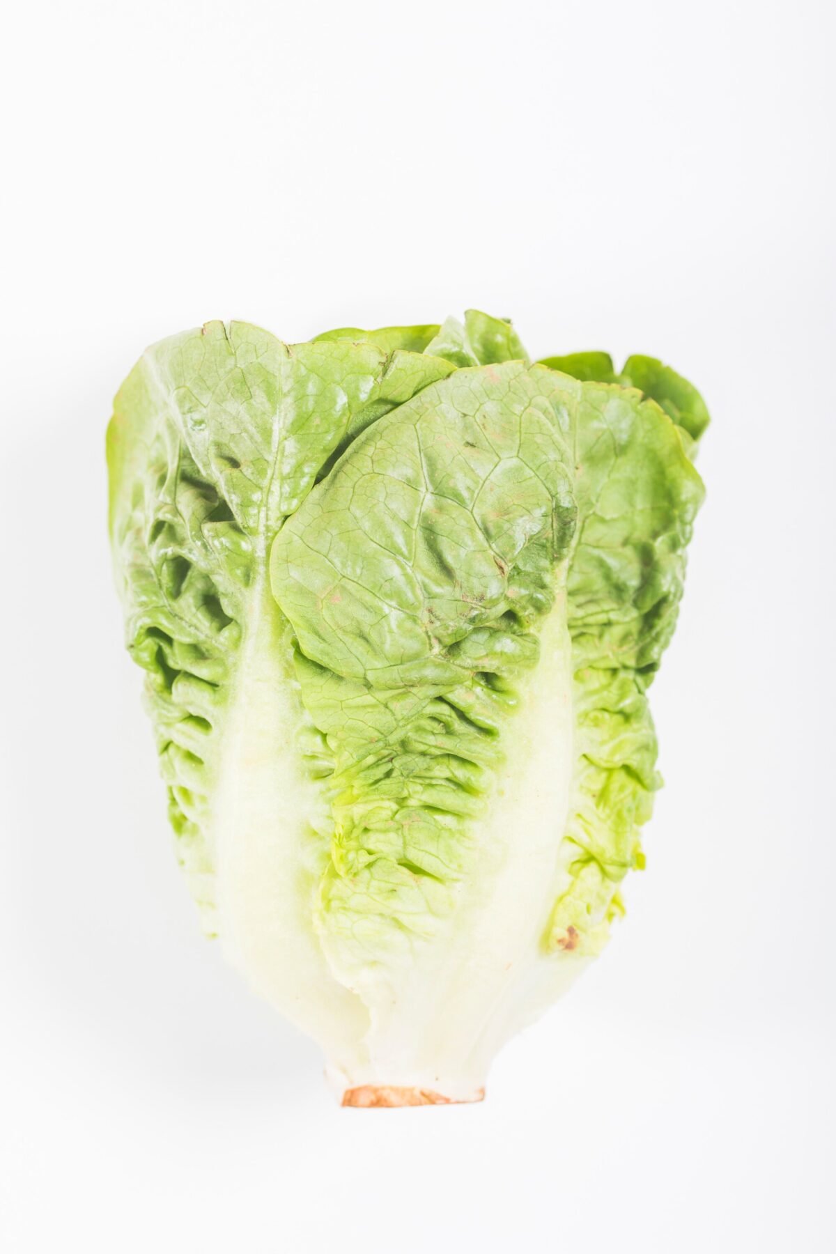 lettuce 23 2148023487