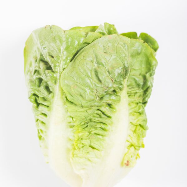 lettuce 23 2148023487