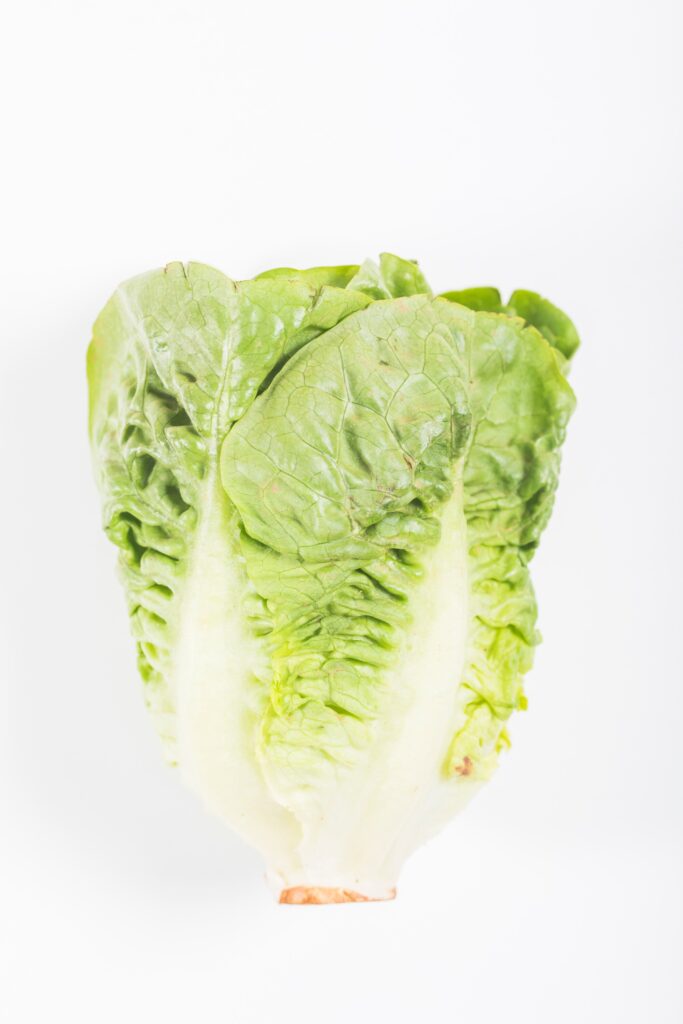 lettuce 23 2148023487