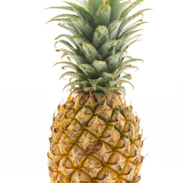 pineapple fruit 1203 7746
