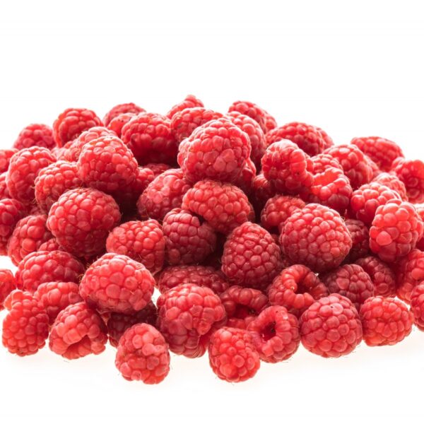 rasberry fruit 1203 7849
