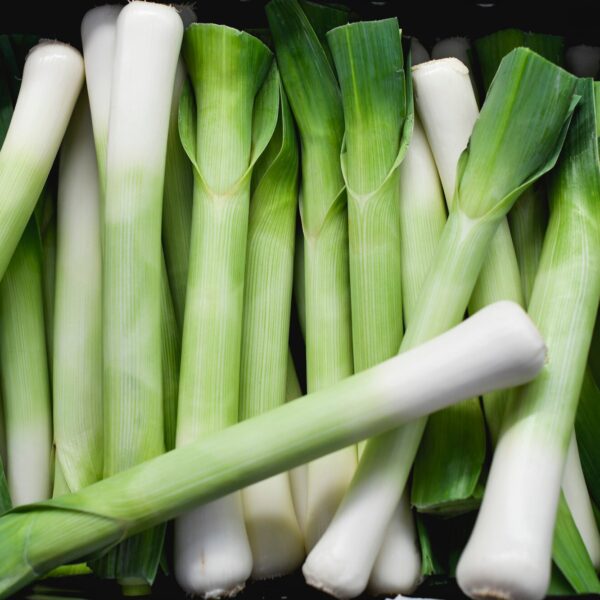 raw green leek supermarket 53876 63413