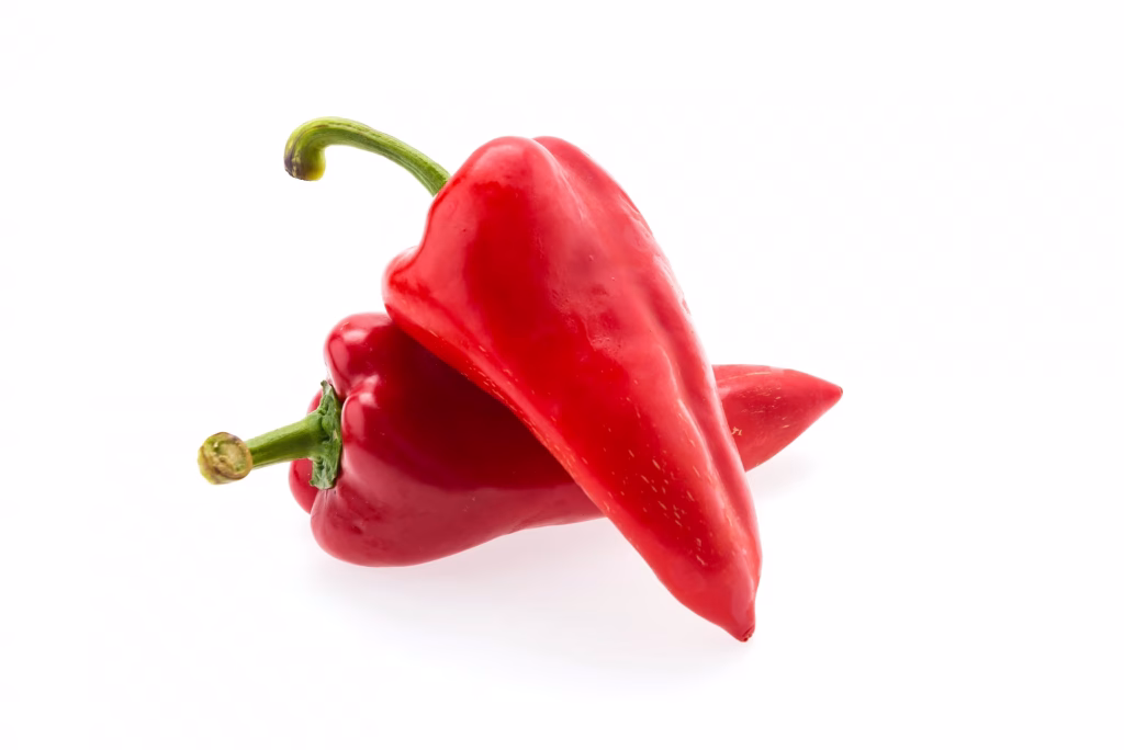 red chilli isolated white 1203 3659