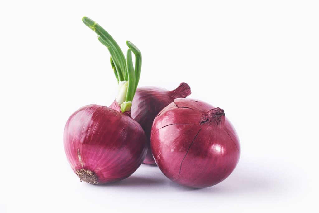 red onion whole isolated white 146671 19175