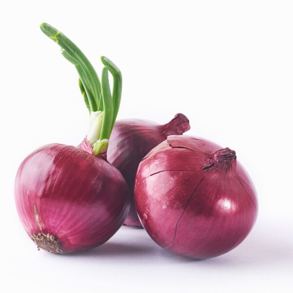 red onion whole isolated white 146671 19175