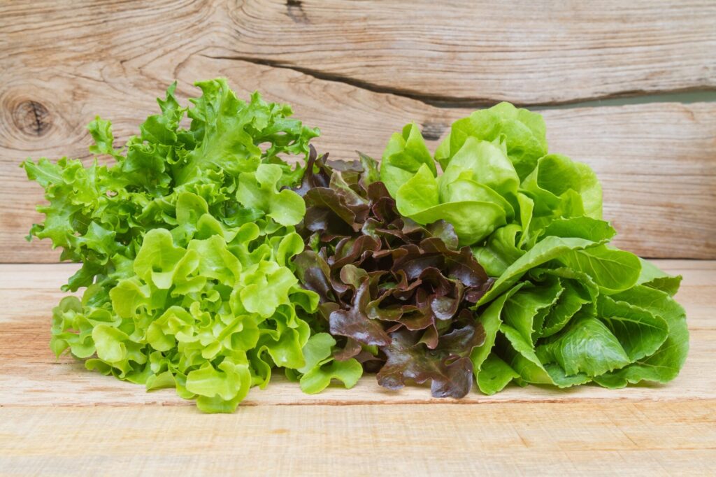 vegetable salad 1388 679