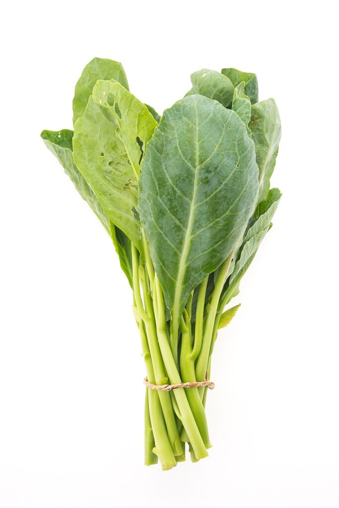 white diet raw healthy garden 1203 5949